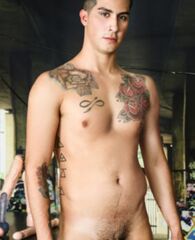 Theo Knoxx