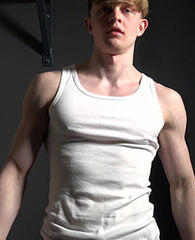 Andrei Gorb