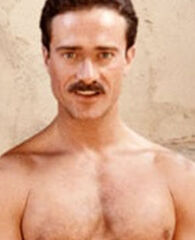 Steve Collins