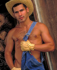 Dan Brewer Todd Gibbs