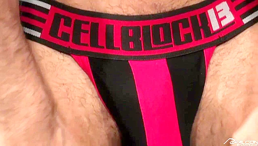 Sean Zevran & Josh Conners ~ Hard Cocks, Hot Cumshot - Falcon Studios