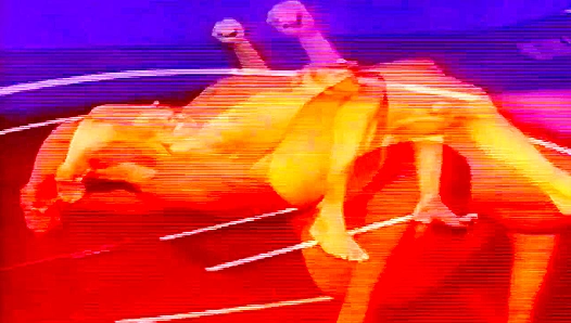 Chris Dano and Rob Steele ~ Wrestling Domination Showdown