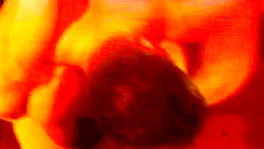 Chris Dano and Rob Steele ~ Wrestling Domination Showdown