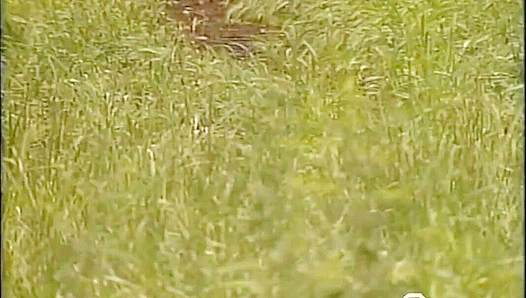 Randy White & Jason Andrews ~ Hardcore Passion Unleashed - Falcon Studios