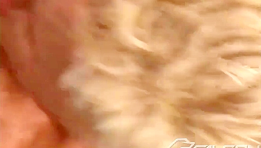 Horny Office Fuck ~ Roman Heart & Koen Bradshaw Heat Up Falcon Studios