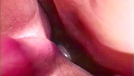 Roman Gregor & Kristof Junas ~ Pure Fucking Pleasure - Falcon Studios