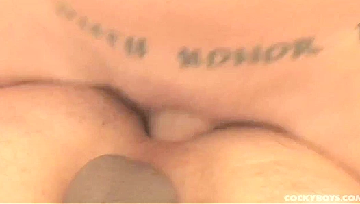 Wild Beast Smashes Derek Woods ~ A Cocky Boys Adventure with Phenix Saint