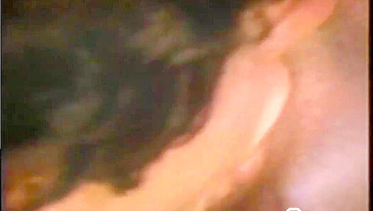 Retro Ranch Boys Pound Each Other's Tight Asses - Falcon Studios