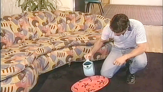 Zak Spears & Michael D'Amours ~ The Magic Bean Adventure