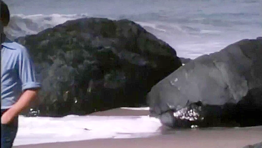 Shawn's Outdoor Solo Seduction ~ A Falcon Studios Exclusive