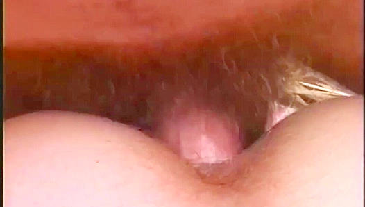 Seductive Milos Janek Fucks Leo Husek Doggy Style - Falcon Studios