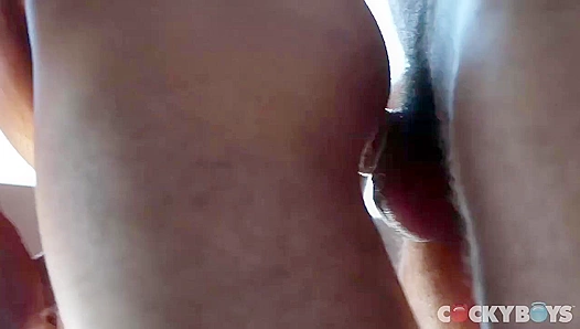 Austin Wilde & Ricky Roman ~ Lustful Cocky Boys