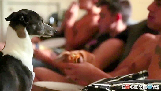 Cocky Thrills ~ Asher Hawk, Levi Karter, and Zach’s Steamy 3some