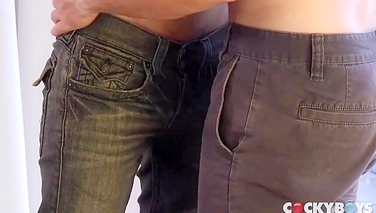 Cocky Boys - Intense Anal WithDanny Montero & Gabriel Clark