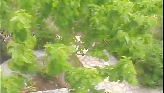 Colby Taylor & David Moretti Get Wild - Outdoor Passion - Falcon Studios