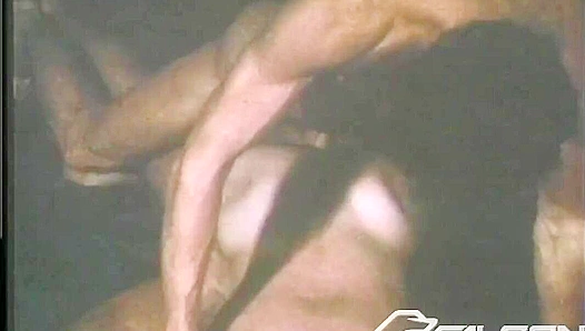 Hot Threesome - Roger & Joe Andrews Steam Up Falcon Studios