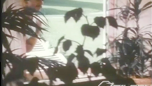 Hot Threesome - Roger & Joe Andrews Steam Up Falcon Studios