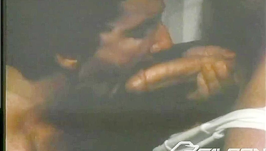 Hot Threesome - Roger & Joe Andrews Steam Up Falcon Studios