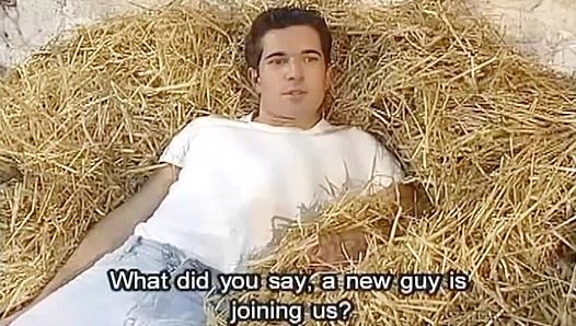 Stefan Toth & Andrew Dombovari Get Wild in the Hay - Falcon Studios