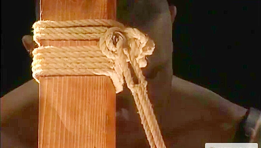 Josh & Alex Unlock Orgasmic Bliss - Hot House Action