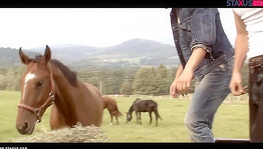 Hardcore Cumshots & Hidden Passions - Gay XXX' Steamy Secrets Unleashed!