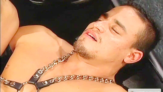 Tyler Saint's Forbidden Orgy with Stellar Studs - Falcon Studios