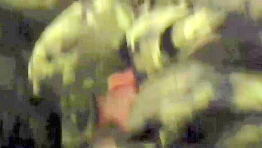 Twisted Desires - Gregor Clark's Dark Journey - Gay XXX