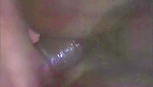 Balkan Bang - Milos Janek & Daniel Ruzovy Heat Up Falcon