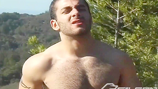 Hot Anal Masterpiece - Orlando Dawson & Shane Erickson Go Wild - Falcon Studios