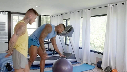 Zak Bishop & Fitness Papi - Relentless Gay Fucking - Icon Male