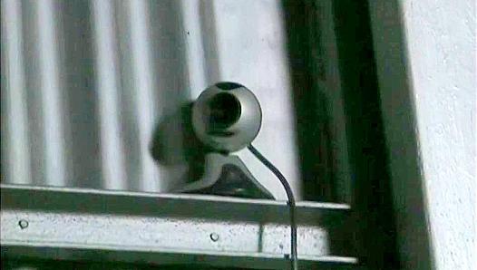 Wild Threesome - Three Delicious Gay Cocks Unleashed - Gay XXX