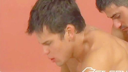 Roman Heart & Friends - DAP Frenzy - Falcon Studios