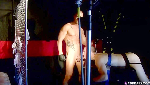 Rod Daily's Obsession - Horny Nights with Cody Allen