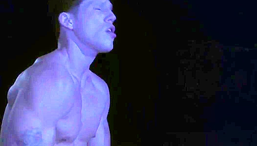 Stylized Passion - Falcon's Color-Corrected Gay Anal Desire