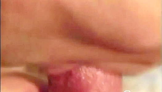 Alex Lambert Ravages Captive Wolf Remulus on Bed - Falcon Studios