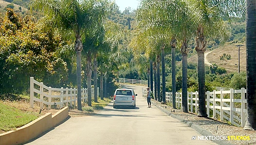 Basketball Players Go Wild Next Door, Raw and Unfiltered Post-Game Action