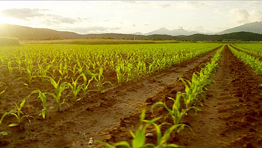 Farmer Spencer Gets Caught Bangin' His Dick In The Shed