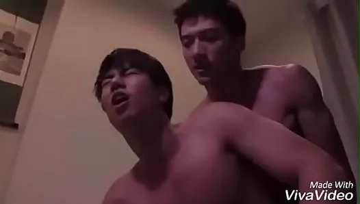 Sweet Southeast Asian Twinks 18+ Enjoy Intimate Gay Fun