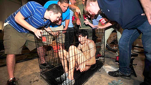 Frat Boy Submission - Amateur Domination and Hardcore Hazing