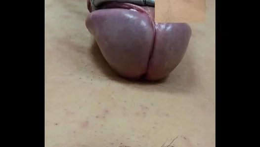 Hands–Free Cum: Amateur Guy Reaches Intense Orgasm With Sex Toy