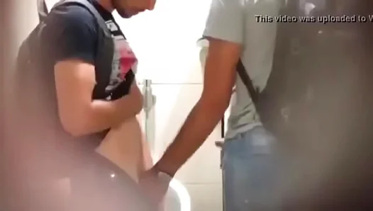 Public Bathroom Blowjob Captures European Passion