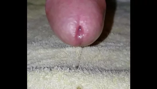 Latino Twink 18+ MrCookieCrumbler Drips Wet During Intense Anal Solo Play