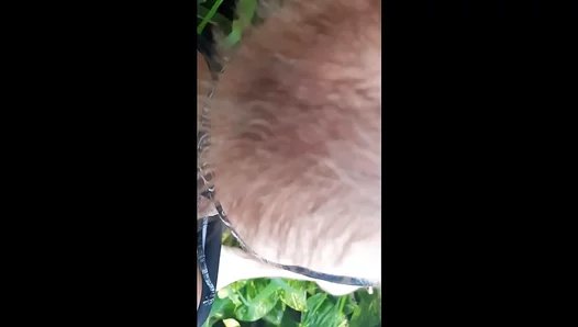 Gringo Tourist Deepthroats Big Dick By The Beach In Amateur Gay Fun