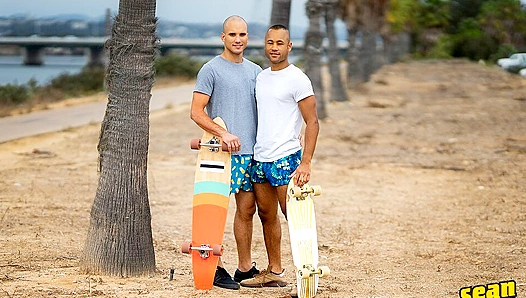 Bald White Frankie Pounds Bald Black Chris Hard - Sean Cody