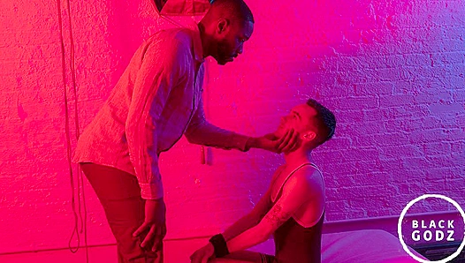 Black Godz - Lawrence Portland Bred by Massive Joe Ex