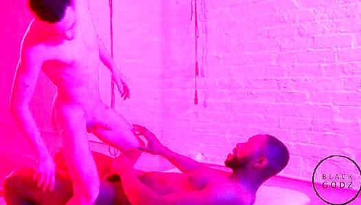 Black Godz - Lawrence Portland Bred by Massive Joe Ex