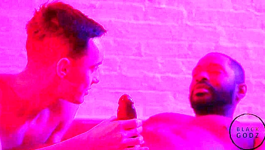 Black Godz - Lawrence Portland Bred by Massive Joe Ex