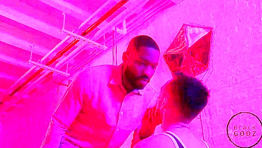 Black Godz - Lawrence Portland Bred by Massive Joe Ex