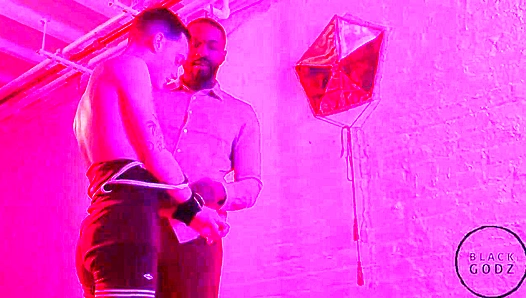 Black Godz - Lawrence Portland Bred by Massive Joe Ex