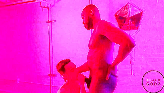 Black Godz - Lawrence Portland Bred by Massive Joe Ex